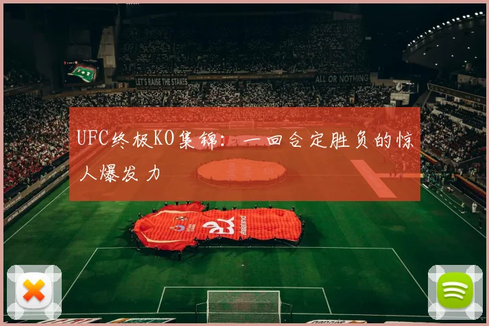 UFC终极KO集锦：一回合定胜负的惊人爆发力