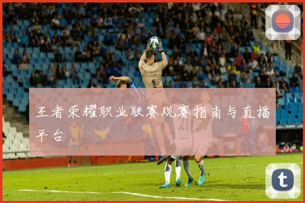 王者荣耀职业联赛观赛指南与直播平台