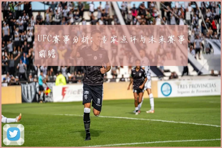 UFC赛事分析：专家点评与未来赛事前瞻