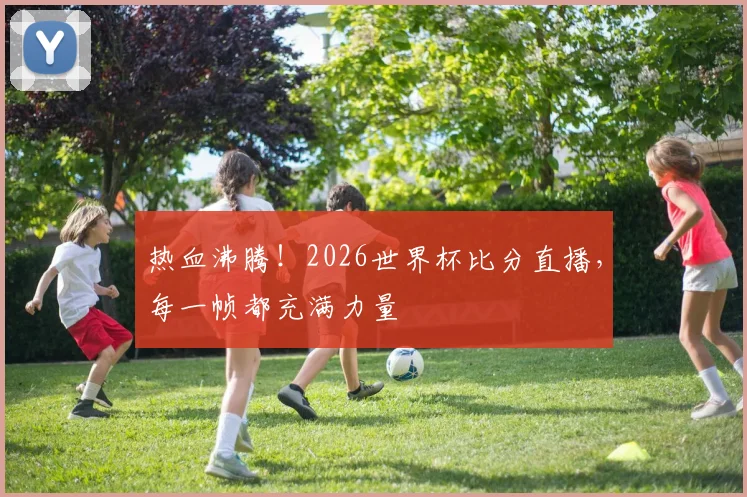 热血沸腾！2026世界杯比分直播，每一帧都充满力量