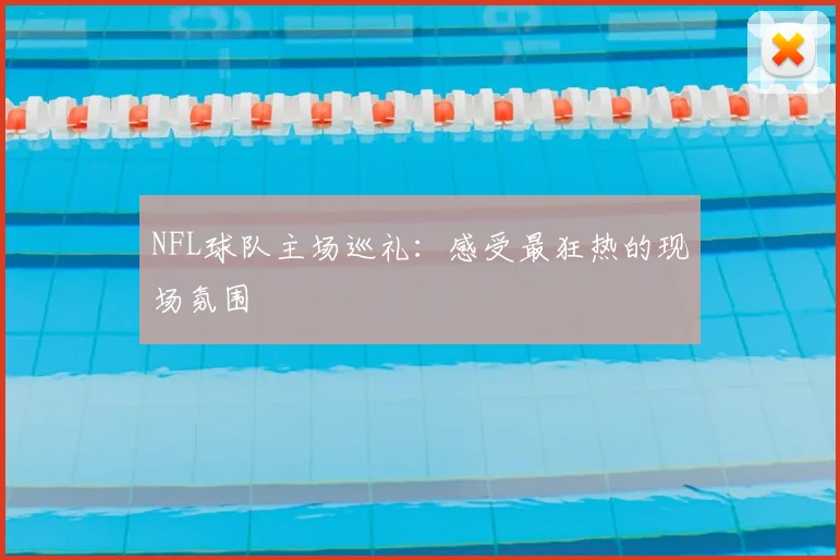 NFL球队主场巡礼：感受最狂热的现场氛围