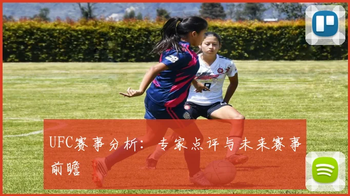 UFC赛事分析：专家点评与未来赛事前瞻