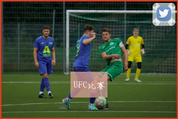 UFC比赛