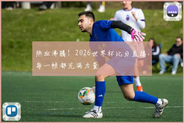 热血沸腾！2026世界杯比分直播，每一帧都充满力量